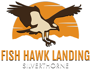 Fish Hawk Landing at Silverthorne